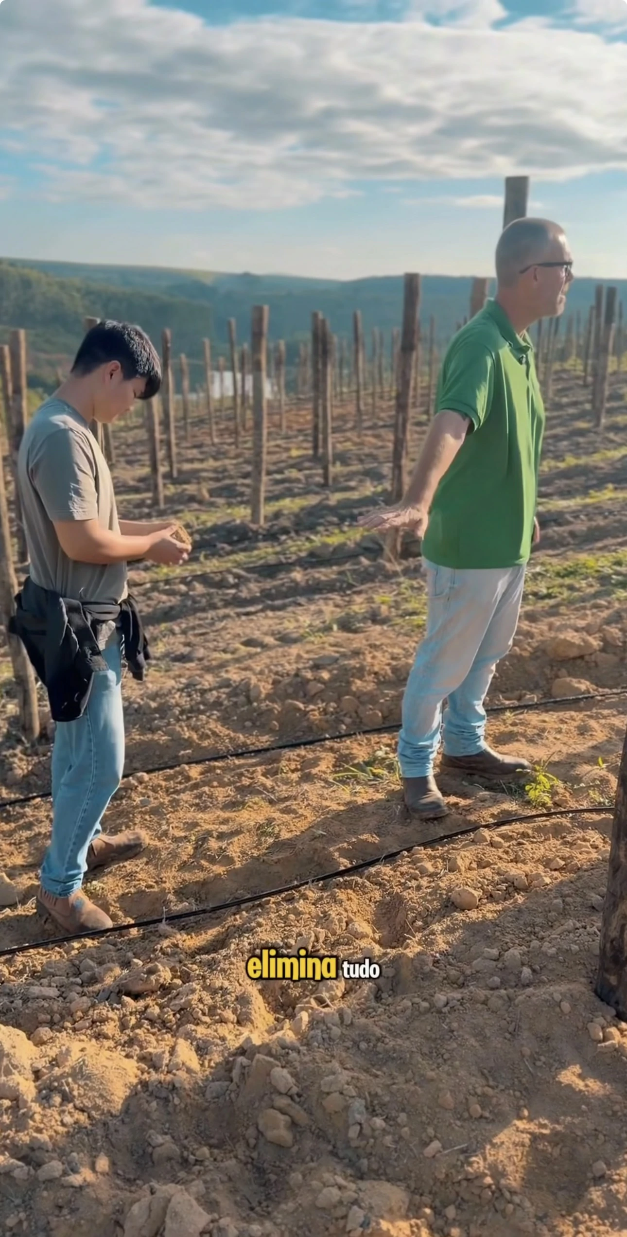 Experiência prática da Erasmo Agro no campo — imagem 5 de 38